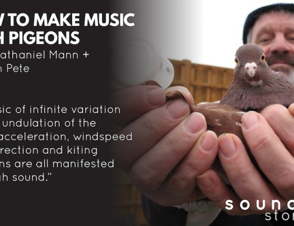 Pigeon Whistles Making Music Soundfly Stories