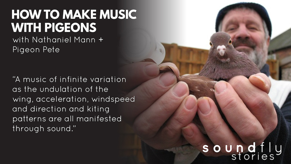 Pigeon Whistles Making Music Soundfly Stories