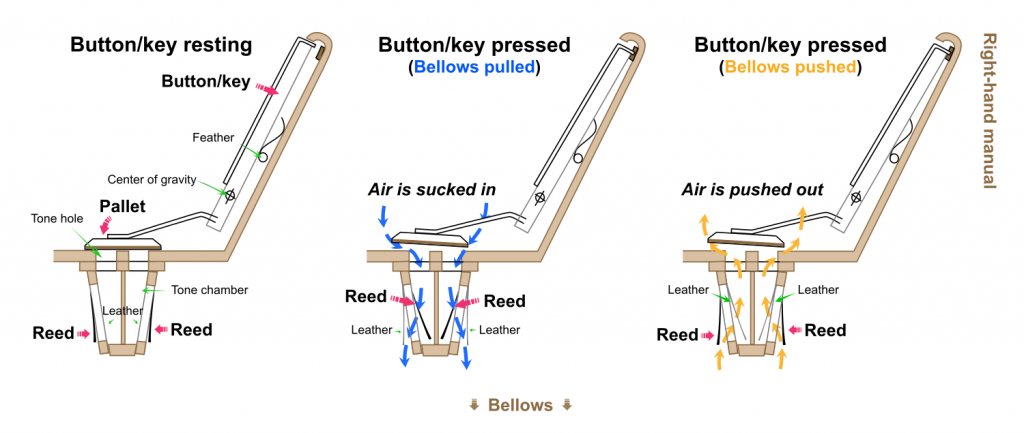 An illustration of how the buttons work with the bellows to produce a tone through the system of reeds inside the accordion. Image via Wikipedia. 