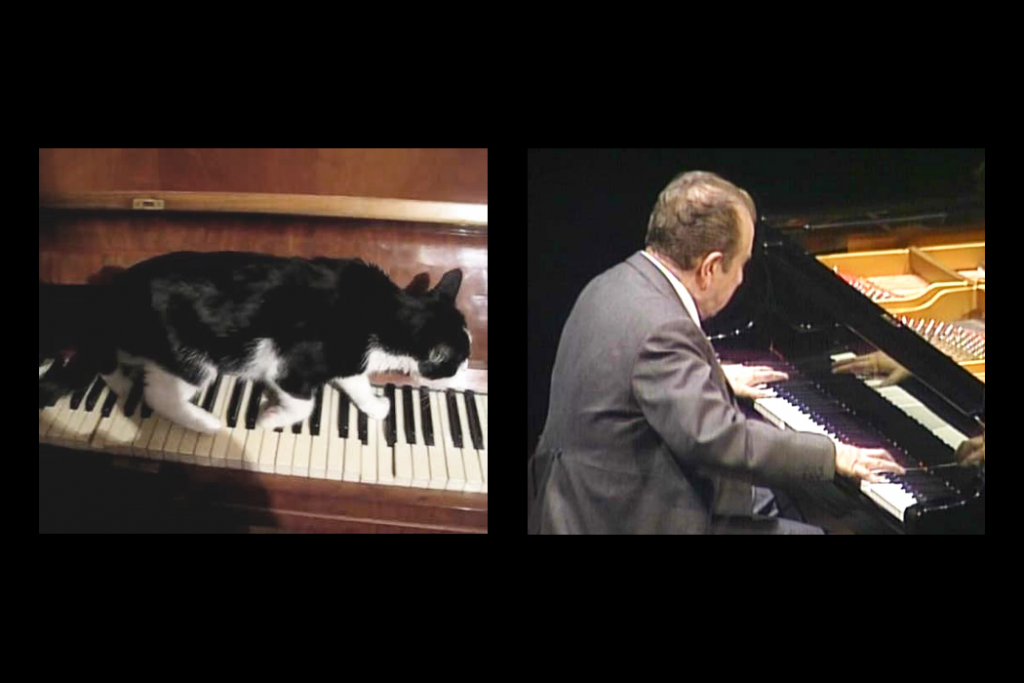 How Does Cory Arcangel’s Cat Video Mashup of Schoenberg’s Atonal Opus 11 Stack up Against the Original?