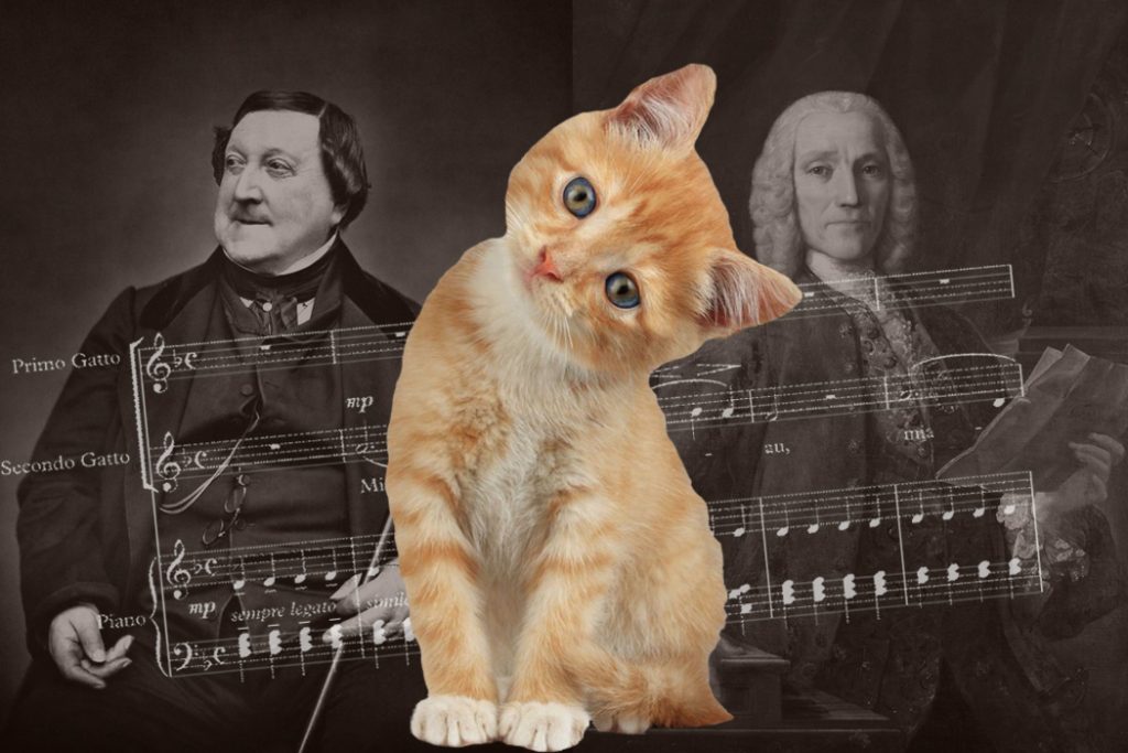 Scarlatti and Rossini Prove That Cat-Inspired Composing Is Hundreds of Years Old