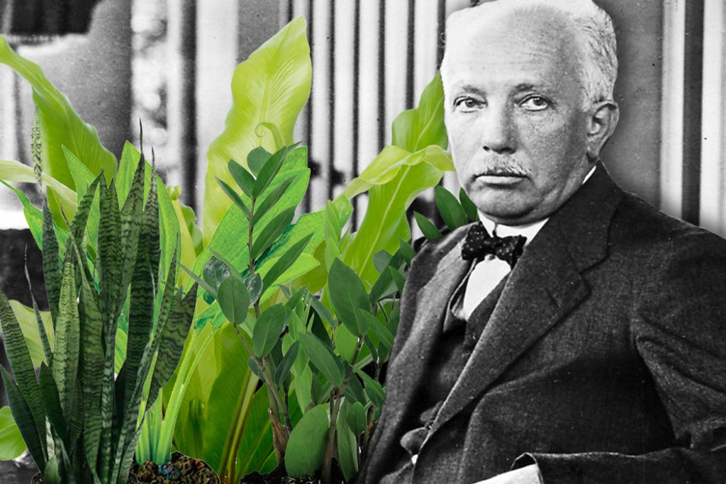 Making Sense of a Song by Richard Strauss Through Botany