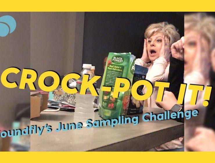 Crock Pot Challenge header - a woman holds her head and screams