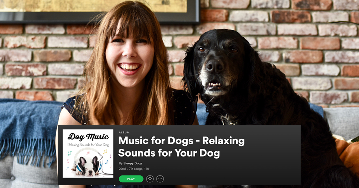 songs that calm dogs down