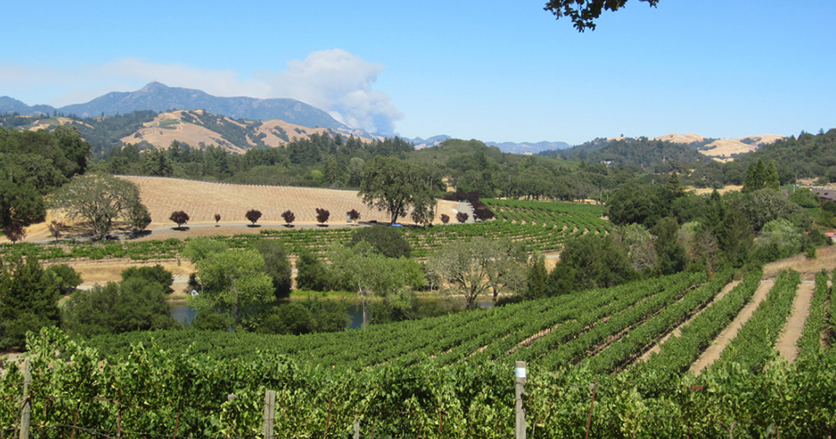Chalk Hill Vineyard in Healdsburg, California