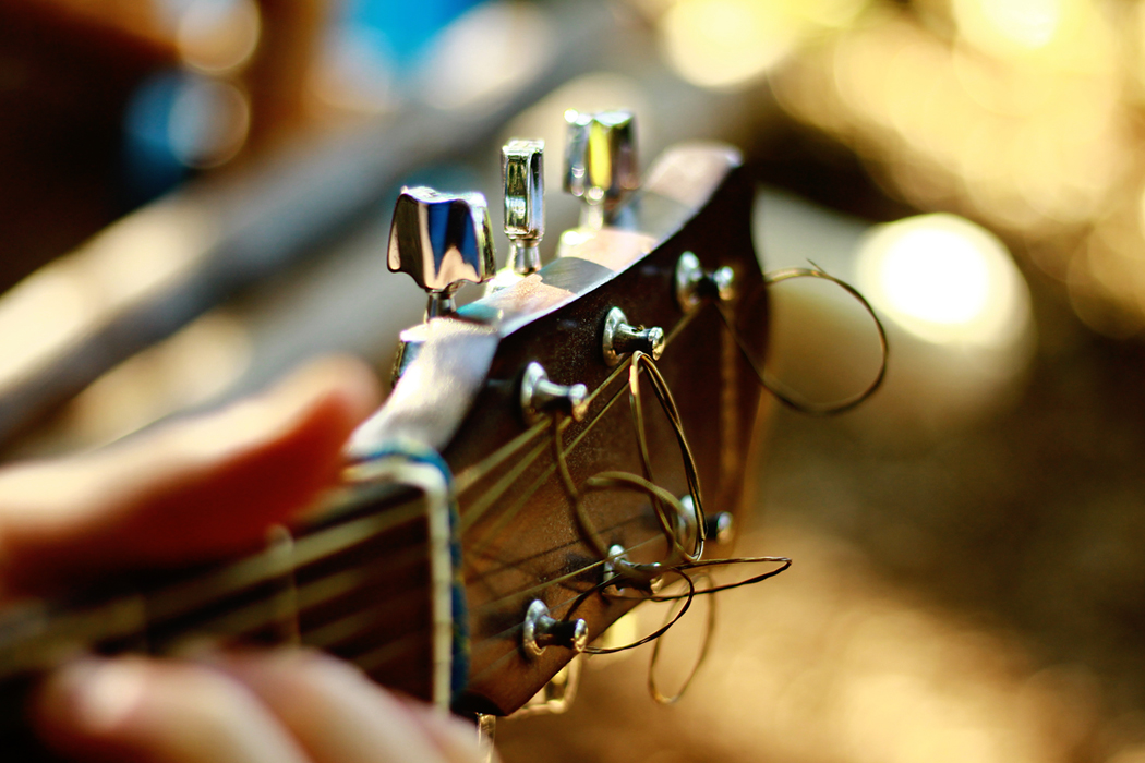 closeup of guitar frets
