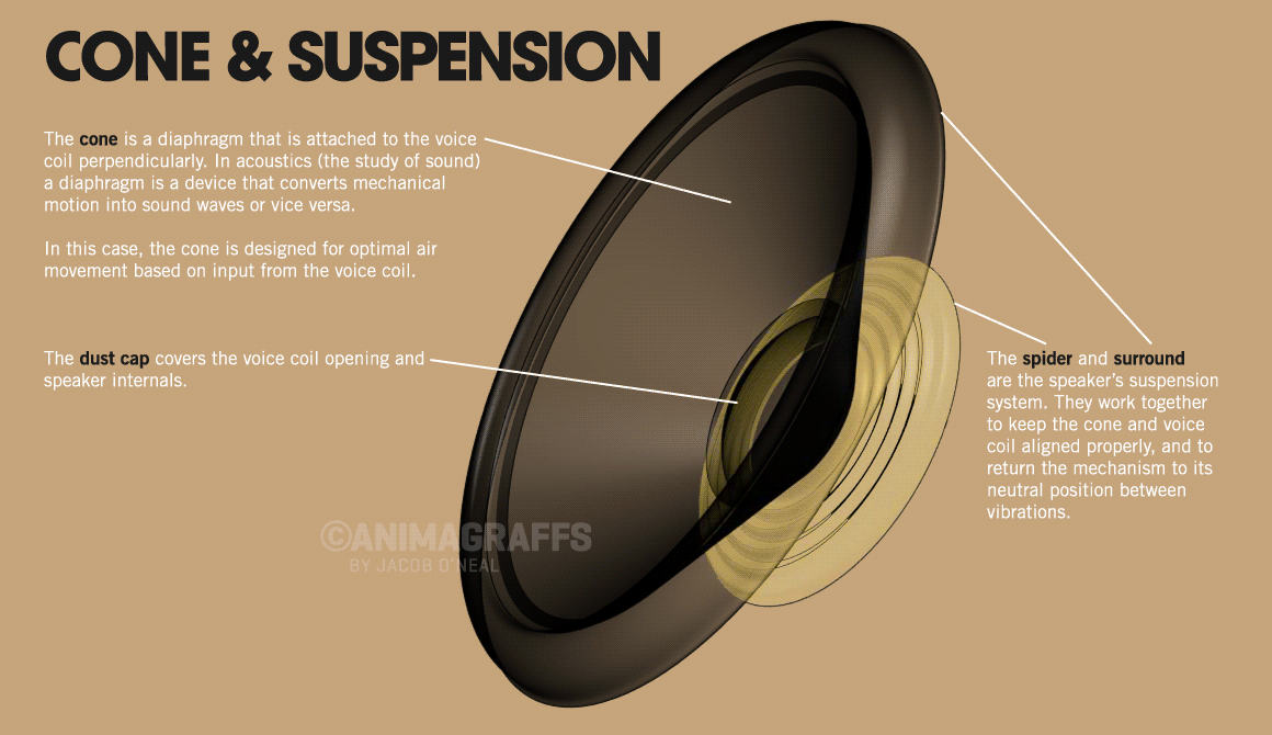 speaker cone suspension