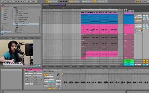 music production screenshot of DAW