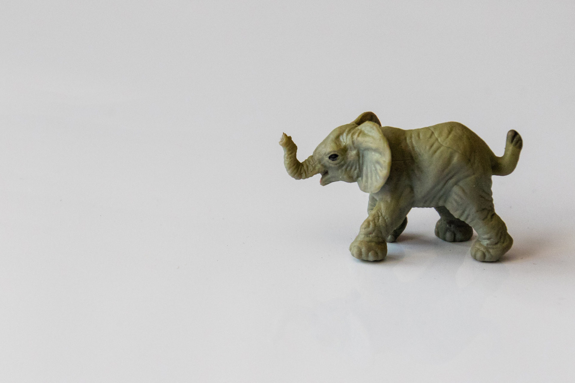 How do you eat an elephant flypaper