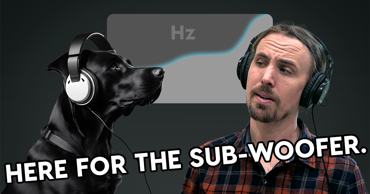 Do Dogs Understand Music? Flypaper